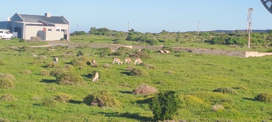 3 Bedroom Property for Sale in Hoogland Western Cape